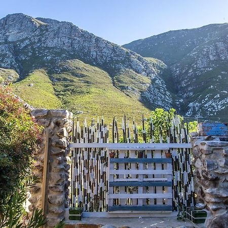 The Trailhouse Otel Bettyʼs Bay Dış mekan fotoğraf