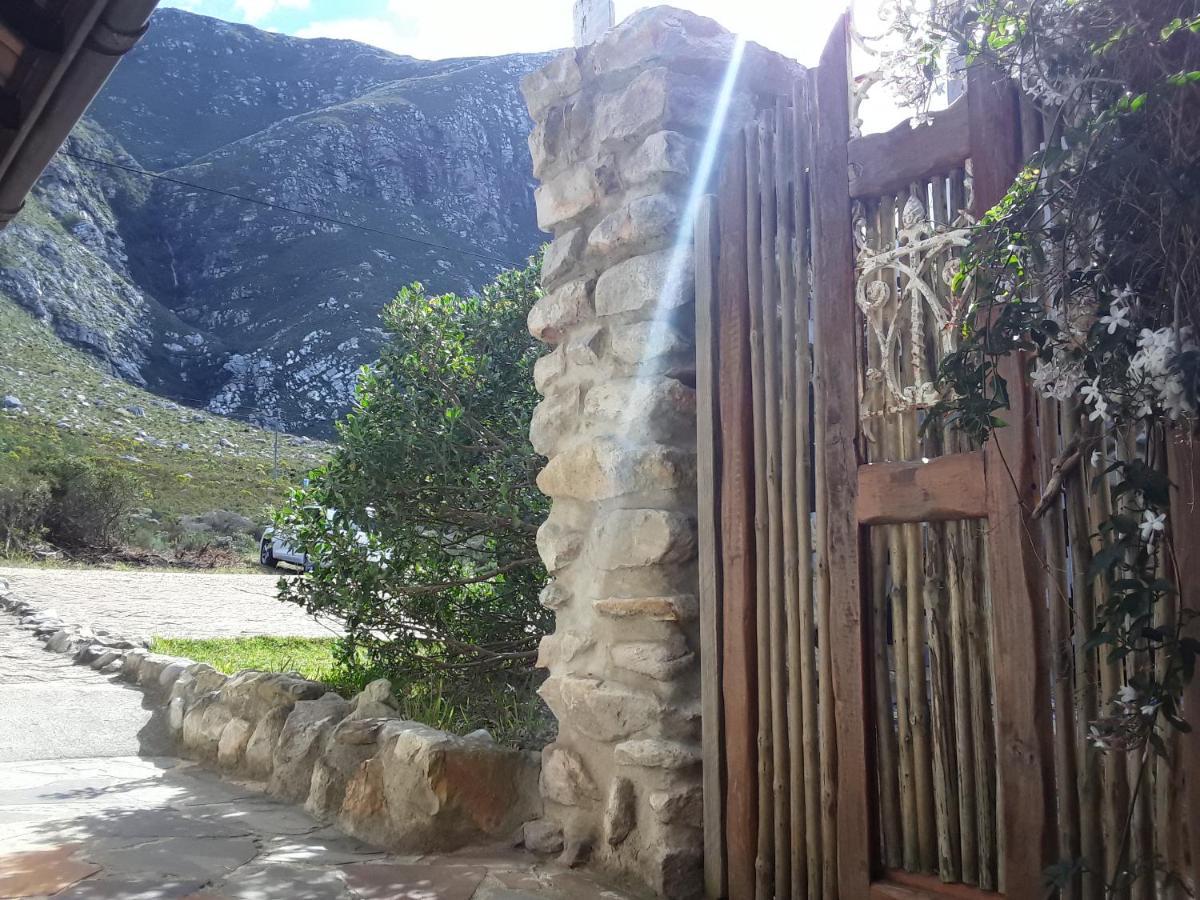 The Trailhouse Otel Bettyʼs Bay Dış mekan fotoğraf